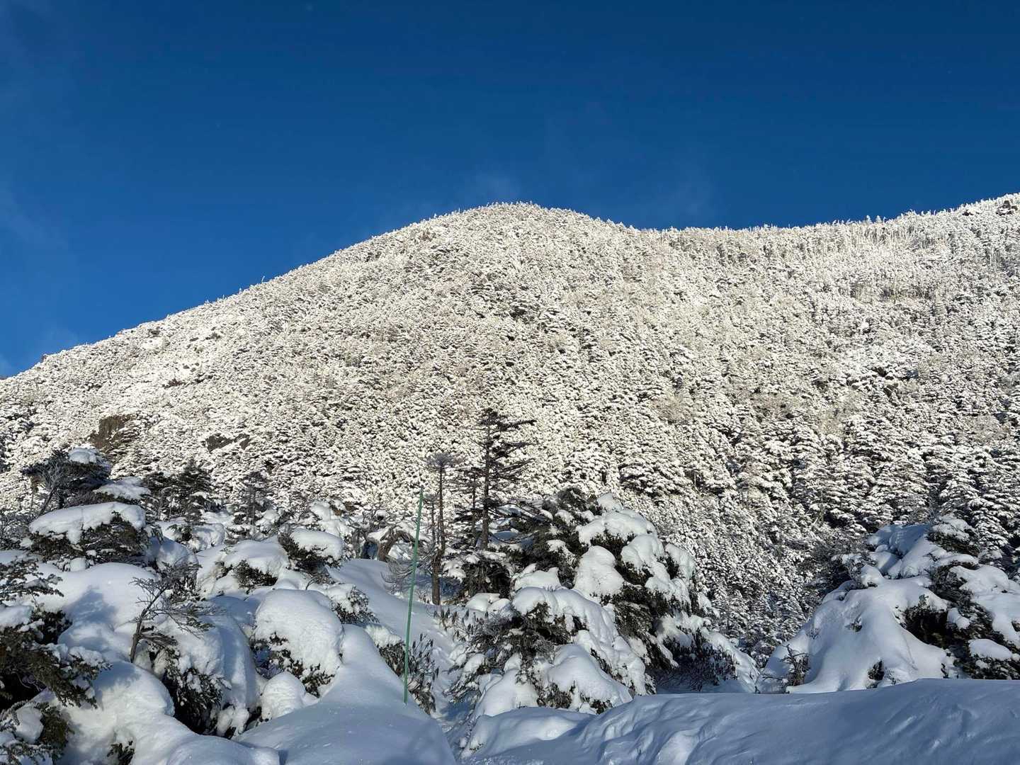 麦草峠-大石峠-中小場-縞枯山-雨池峠-北横岳-七ツ池-山 縦走コースの写真