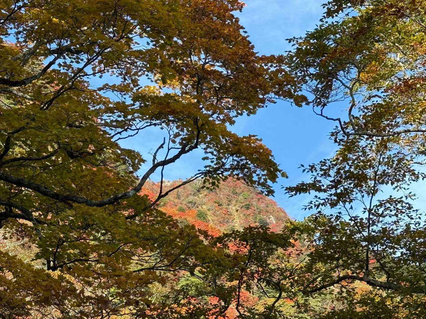 土小屋登山口-石鎚山 縦走コースの写真