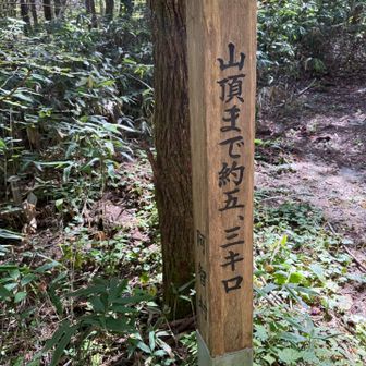下山はアップダウン多かったのに気付くもあっという間✨