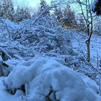 もふもふの雪   童心に戻り  ダイブしてみたくなる