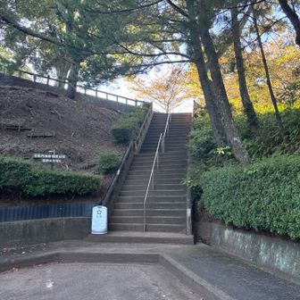 さあ、行ってみよう！