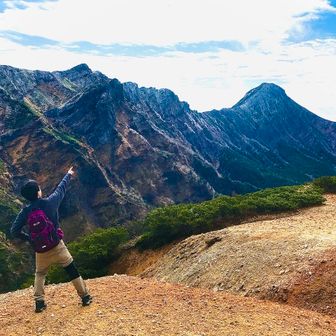 ホワイトタイガー