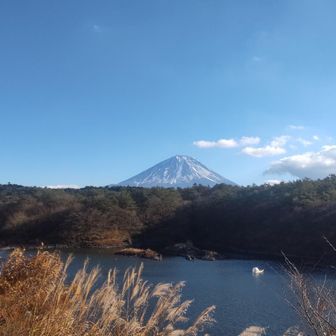 精進湖に戻ると富士山がよく見えた