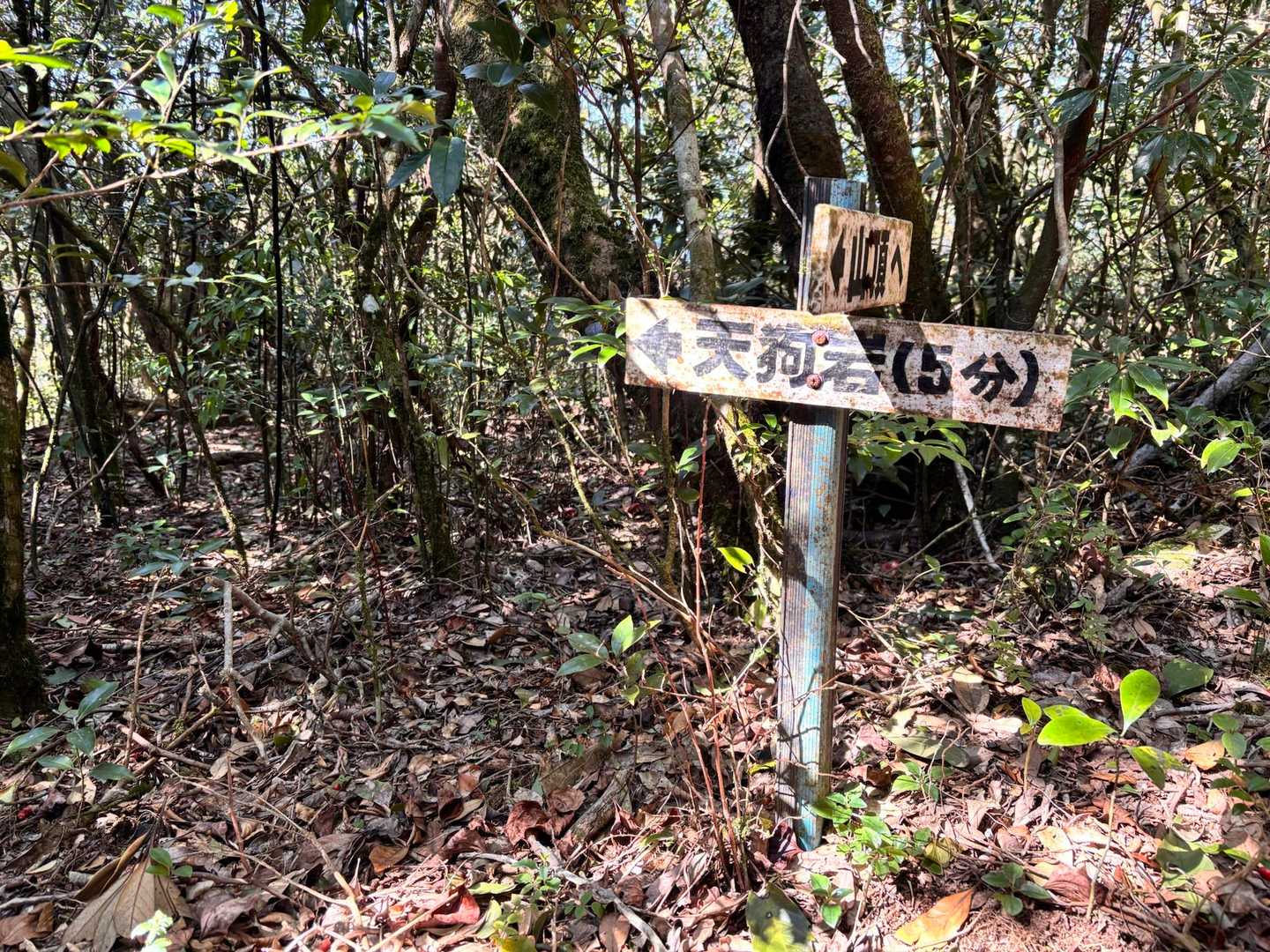 いざ天狗岩へ👺
山友さんと交代で写真を取り合うことに