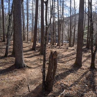 駐車場は目の前
もうちょっとでげざーん