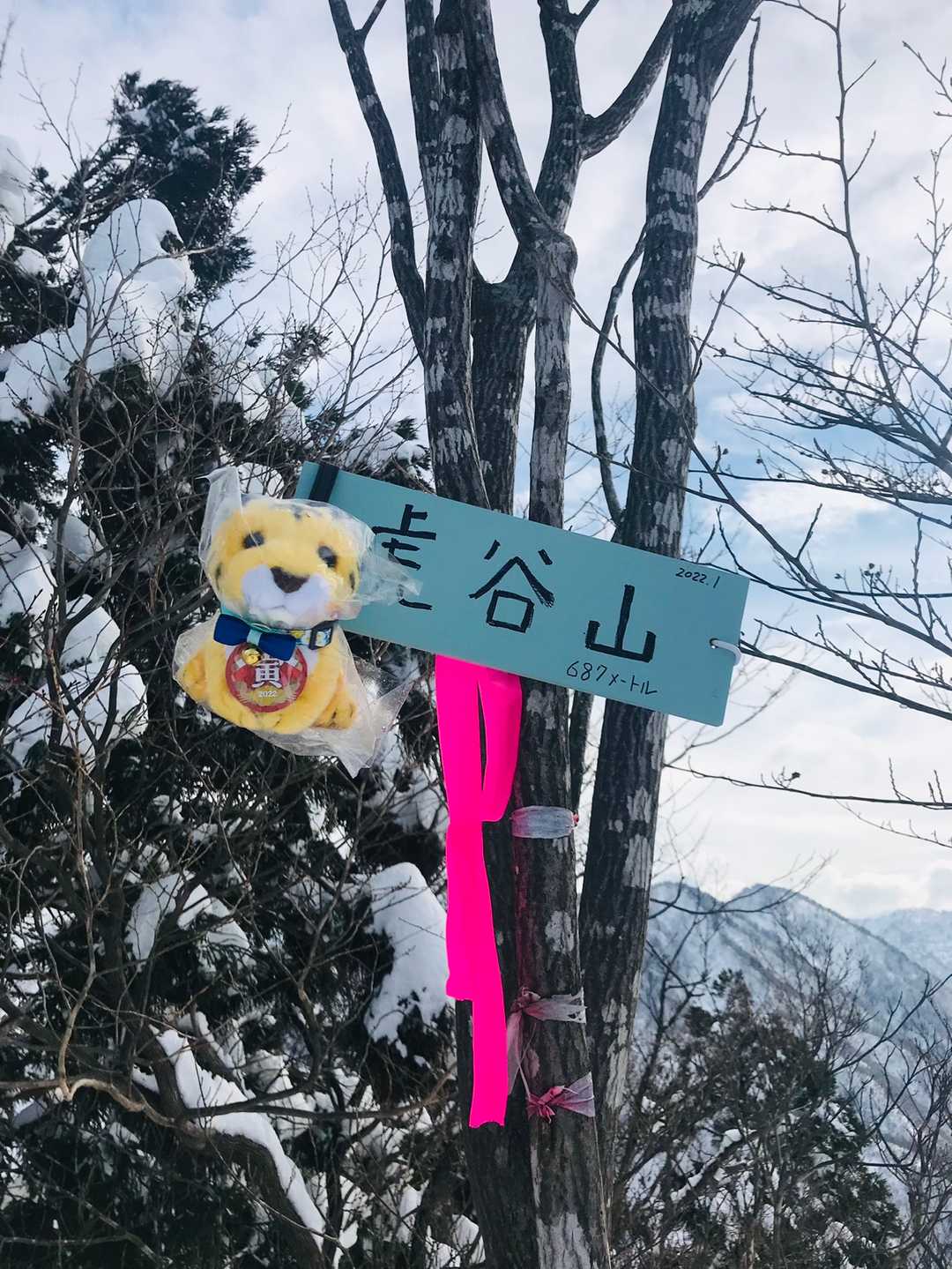 とーちゃく🙌
🐯虎ぞう君…貸してもらいました📸☺️
akiさん、素敵な看板✨ありがとうございました🙌‼️