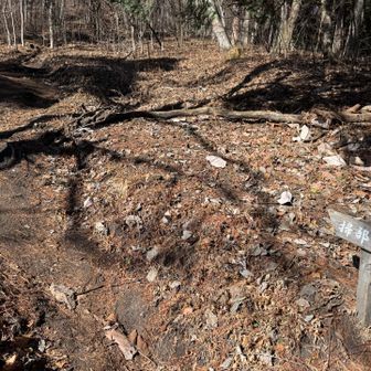 登山口入り口に到着っ☆

今日は誰とも会いませんでしたー😓