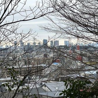 都会のお山らしい景色