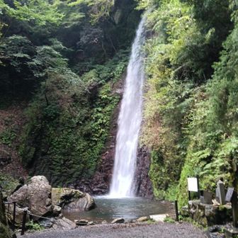 養老の滝