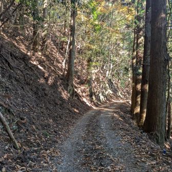 下山。東海自然歩道に戻る