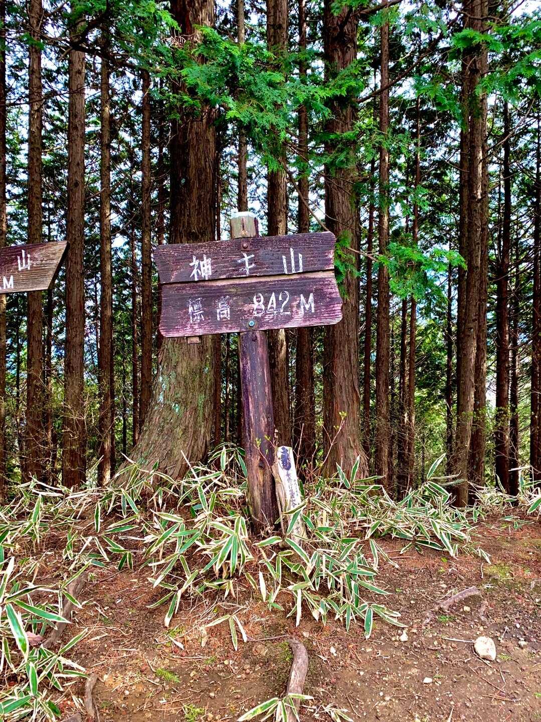 神ノ主山の写真