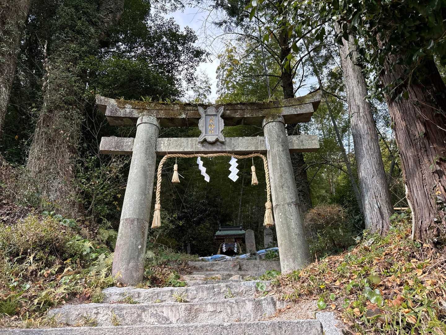 土器山 往復コースの写真