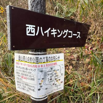 西ハイキングコースからレッツゴー