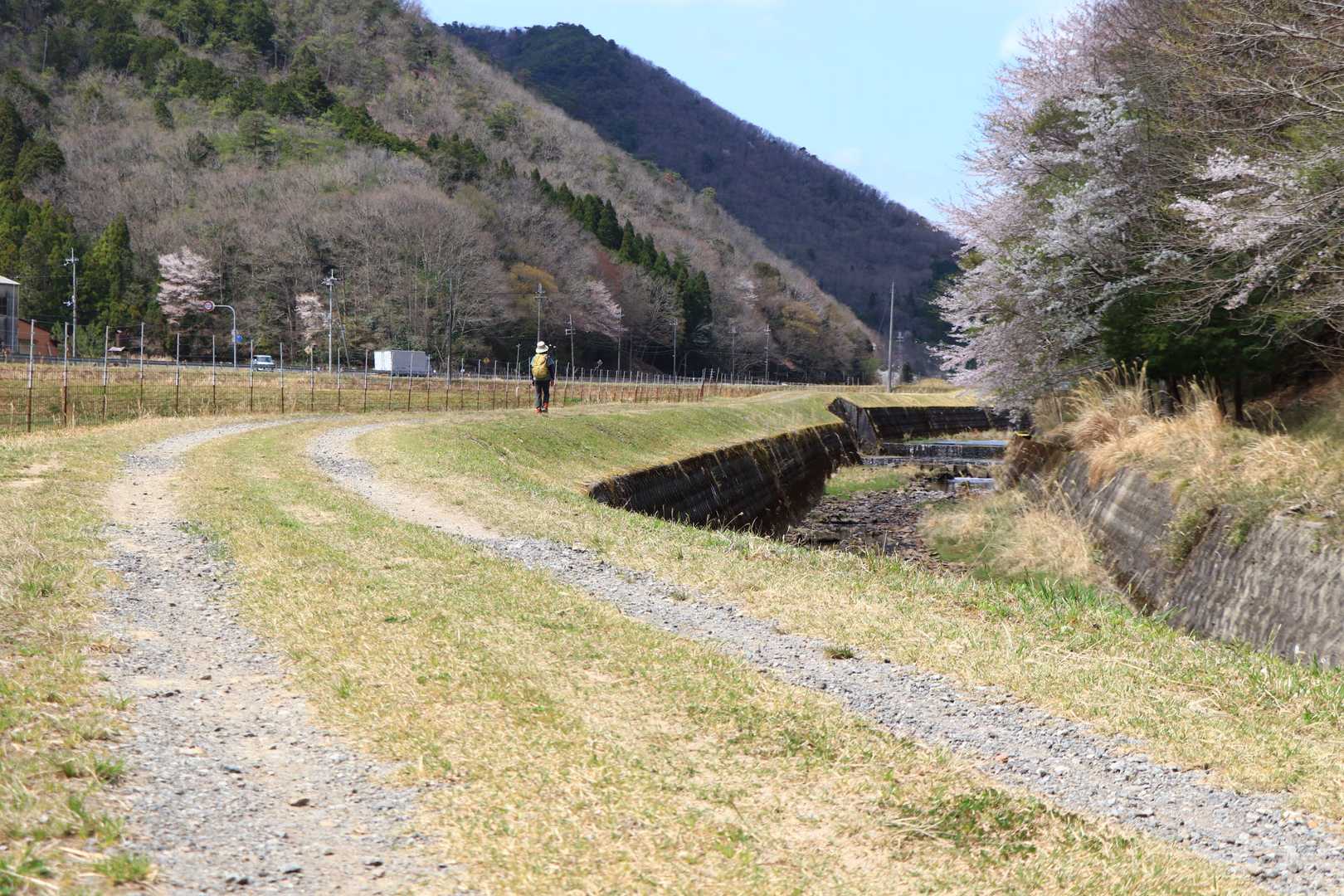 藤坂川沿いに歩いて駐車場に戻りました。