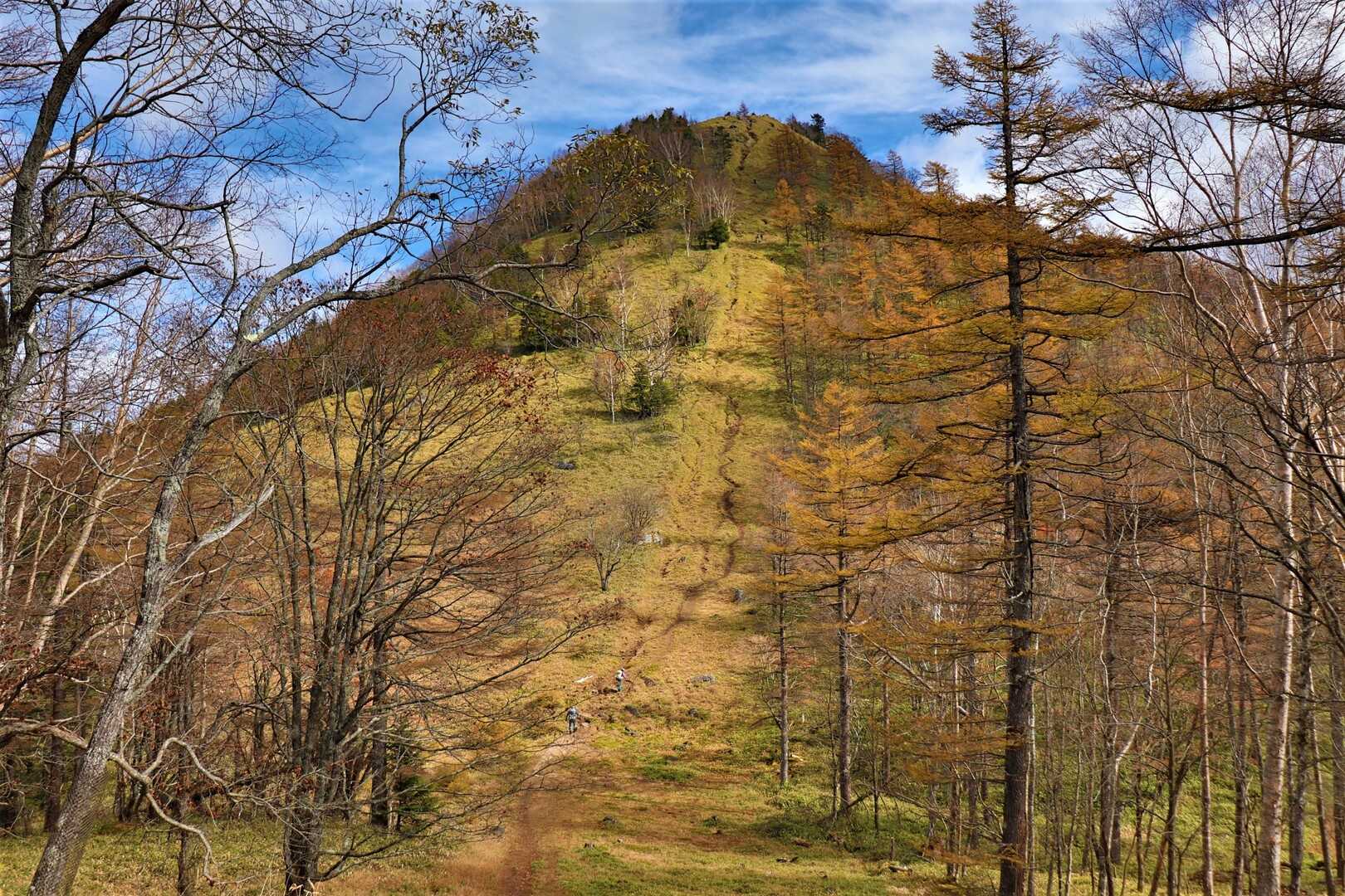 笠取山の写真