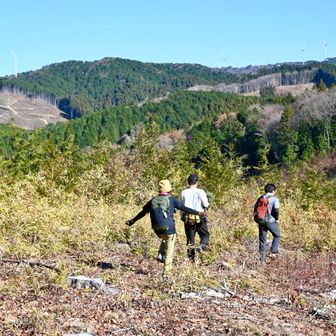ピストン予定を変更し
急遽波線ルートで里見富士を目指すことにします🗻