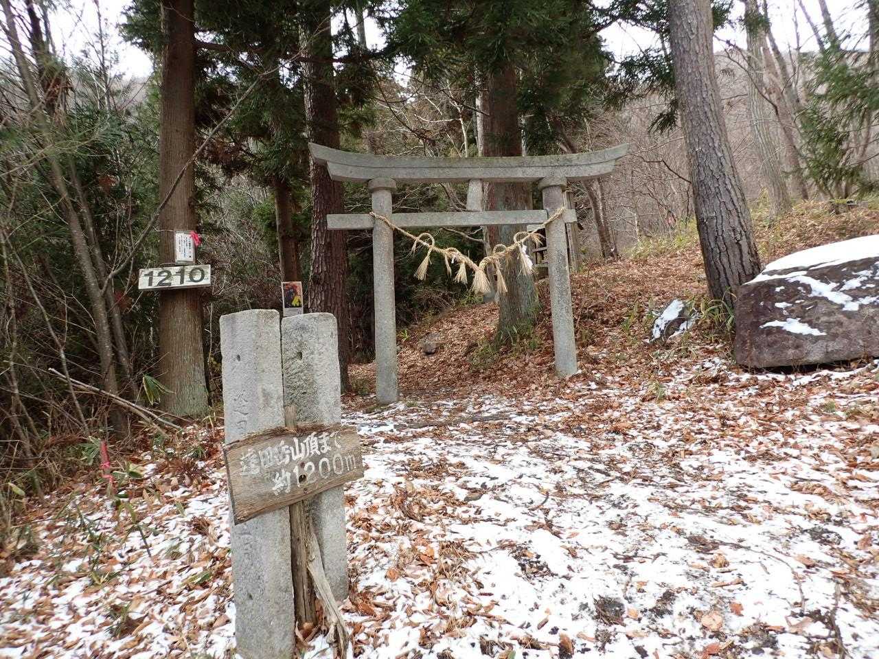 蓬田岳 往復コースの写真