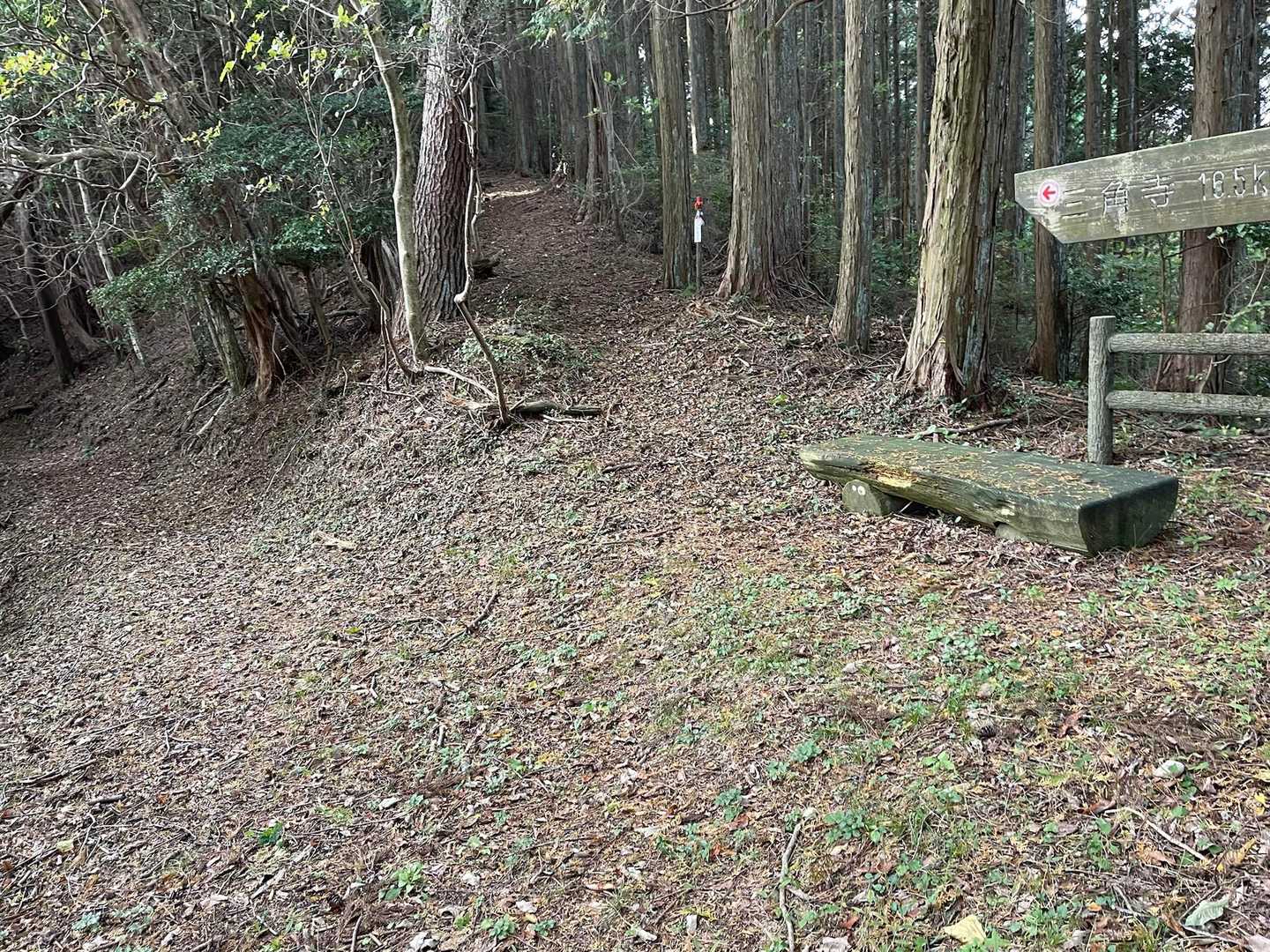 県境の尾根へ