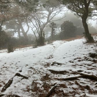 笠の丸に到着。ここから積雪があり楽しかった。