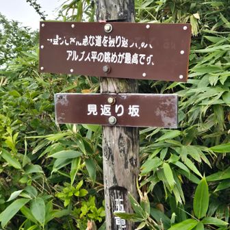 見返り坂　真っ白で残念