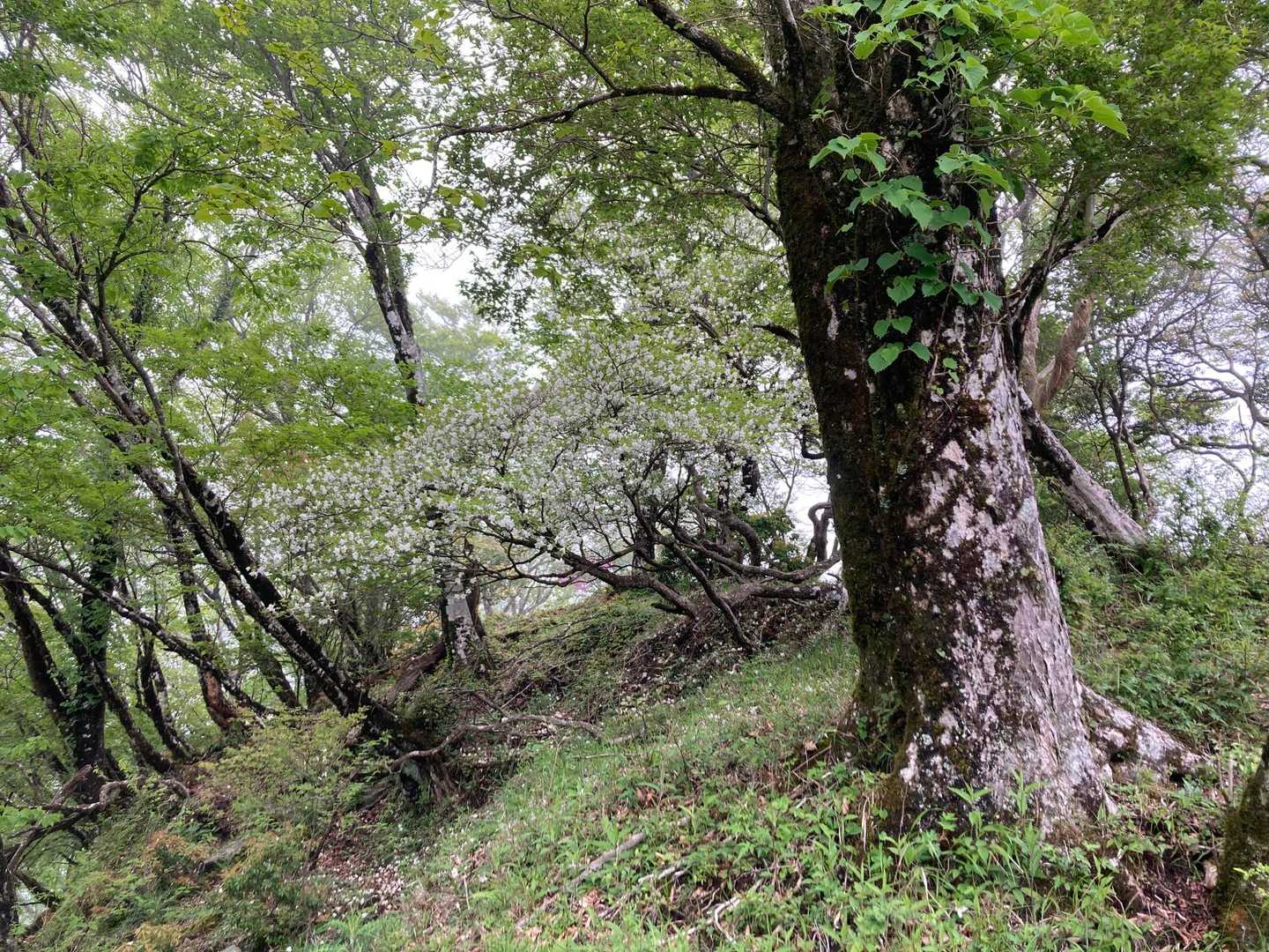 この雰囲気ホントに好き💕