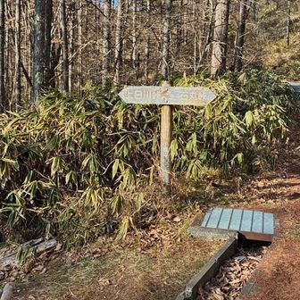 舗装林道を跨いで、また山道へ