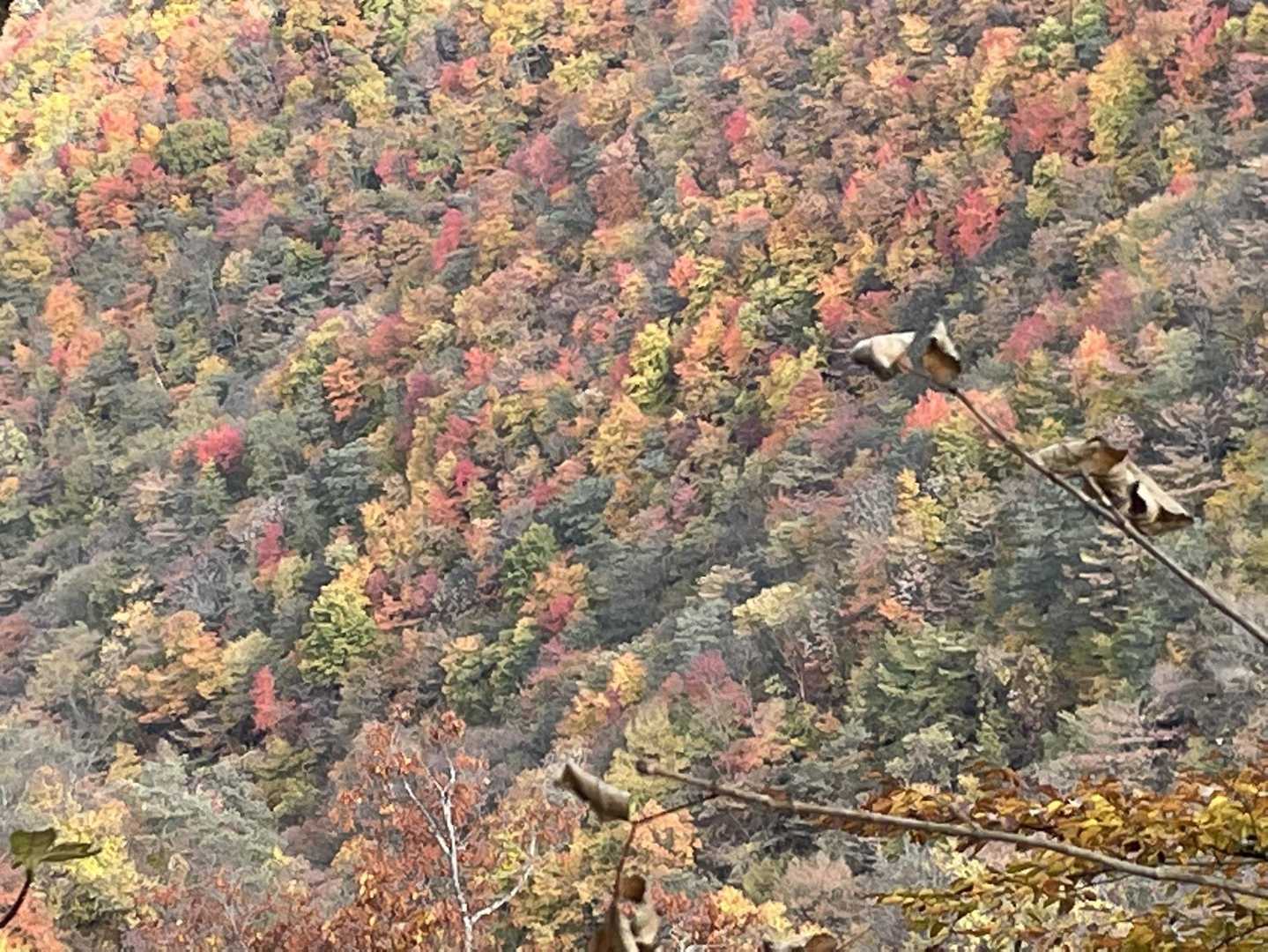 青麻山登山口-あけら山-青麻山 往復コースの写真