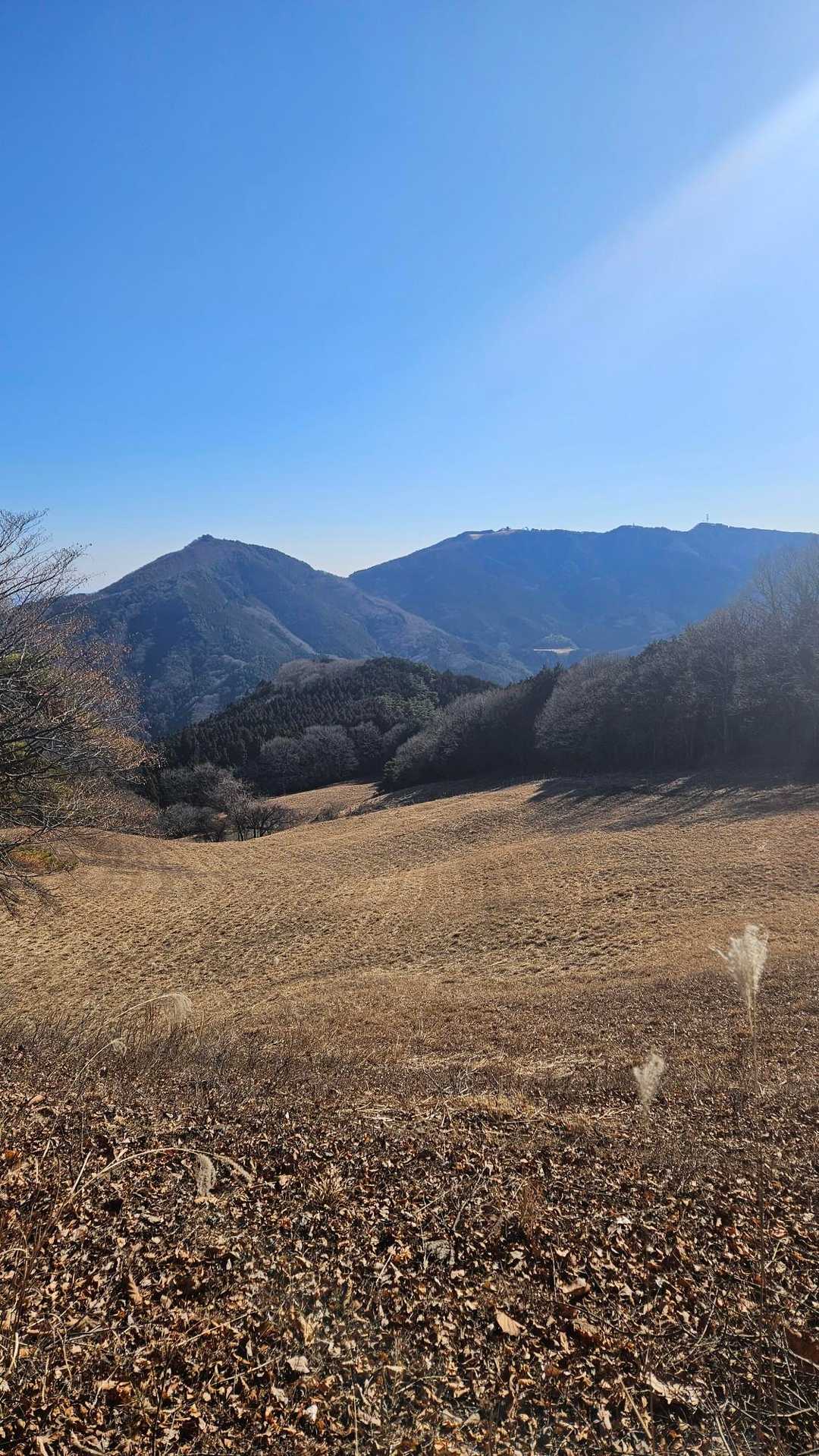 笠山と堂平山
笠山は別名乳房山とも言われているとか
確かにそう言われれば…