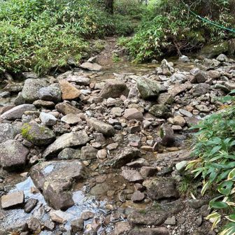 天祥寺原前の渡渉箇所。それほど水量は多くありません。