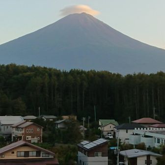 ミックスジュース