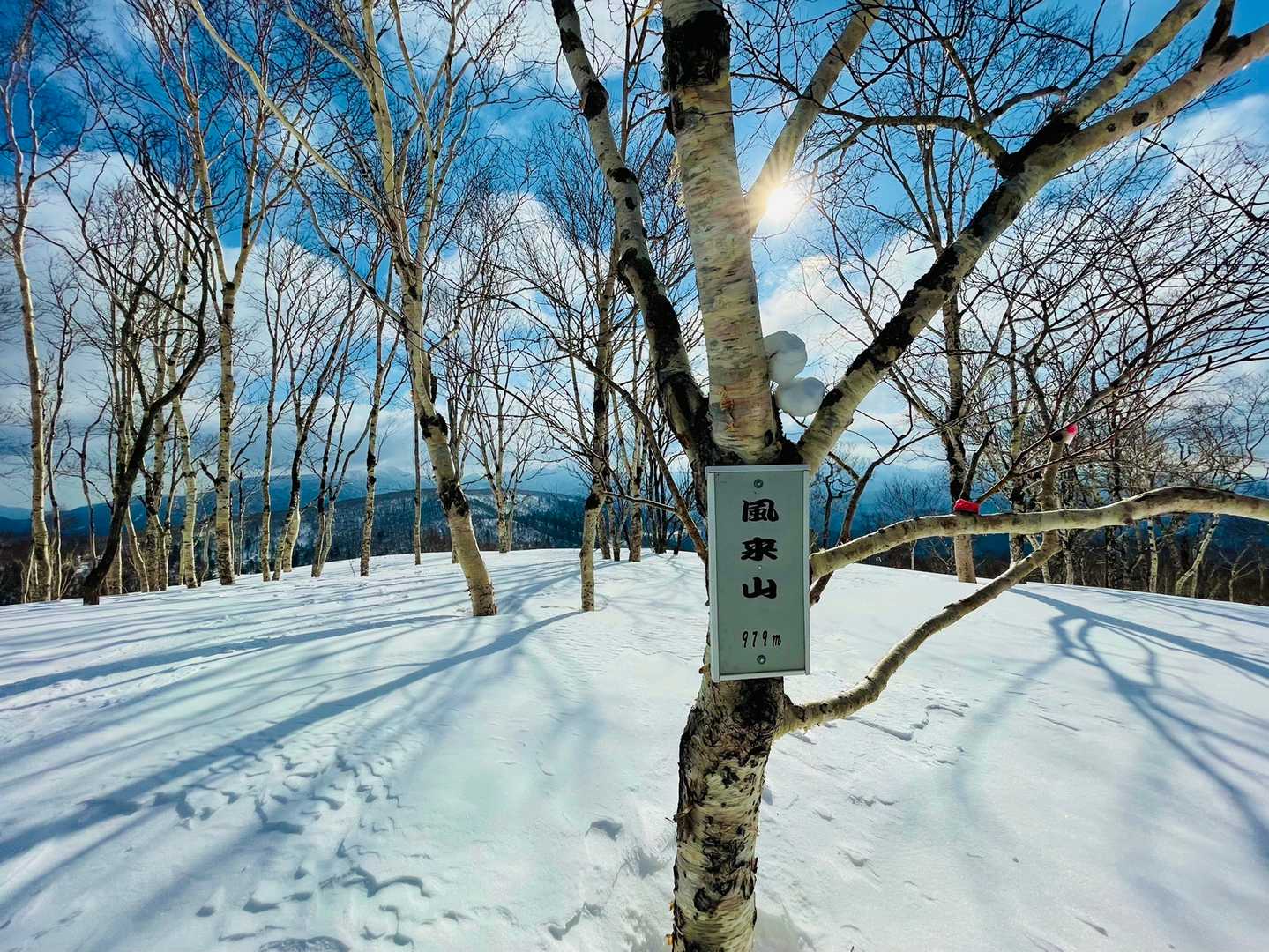 2座目、風来山🦅
雪だるまさんいました☃️
