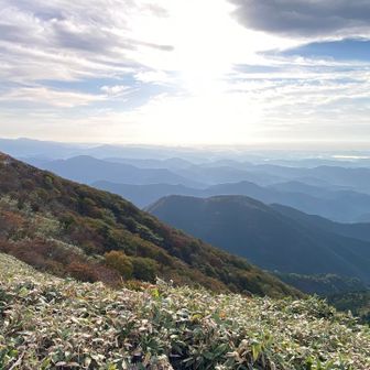山深いのがいい