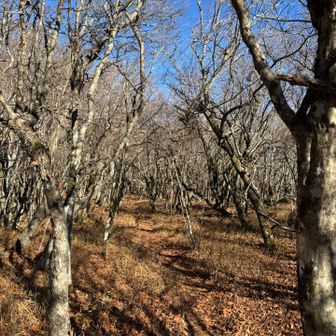 下山します‼️