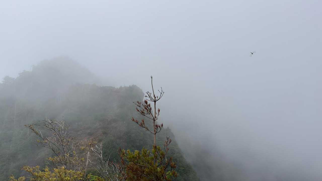 皇海山（鋸山周回）、日帰り最難関 の写真 20
