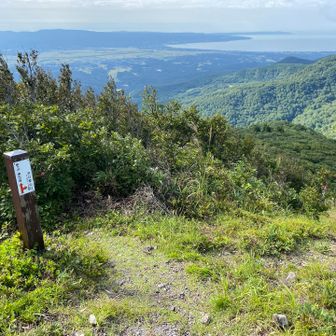 沢口登山口分岐

↑栗ヶ沢・横山方面へ