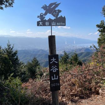 大谷山山頂
景色よし