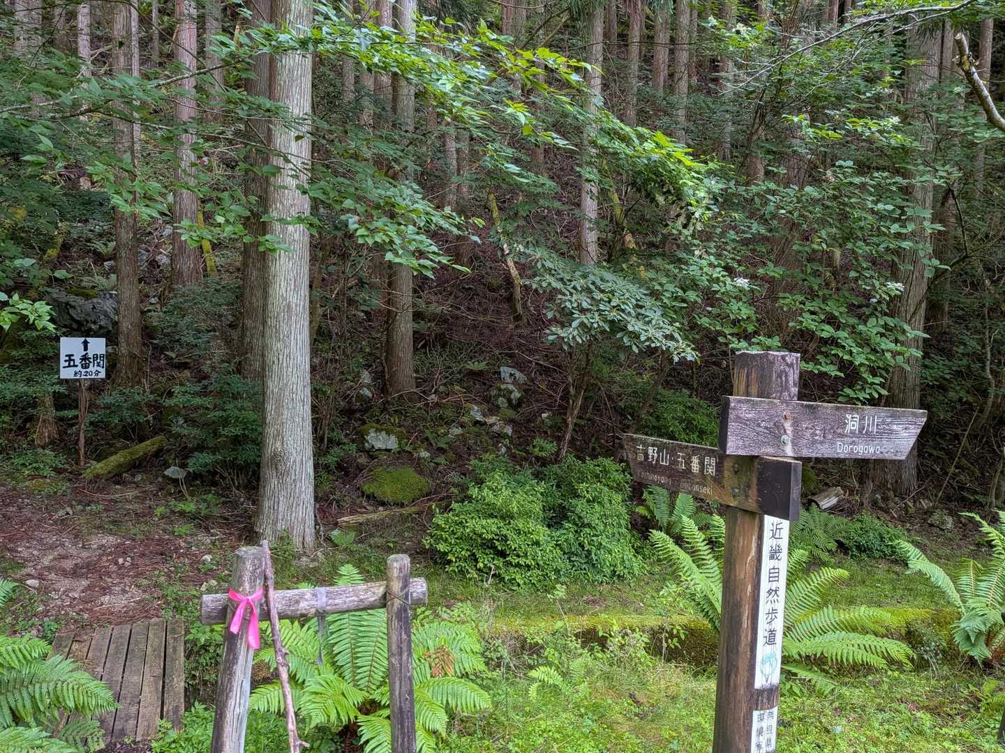 ここから登ります😊