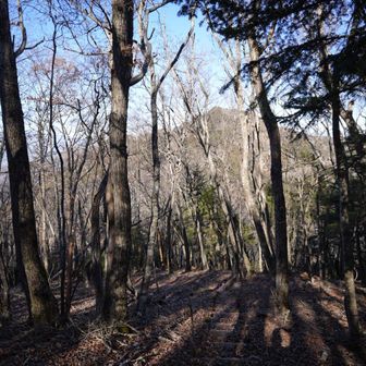 後から登る中ノ倉山のシルエットが見えてゾッとする（笑）
ﾊｱﾊｱ(￣▽￣;)💦