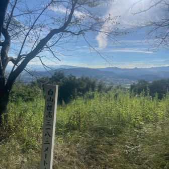 到着