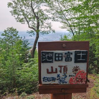 一旦、くだり多治見方面に出て池田富士へ。取り付けから山頂まで思ったより長かったです💦