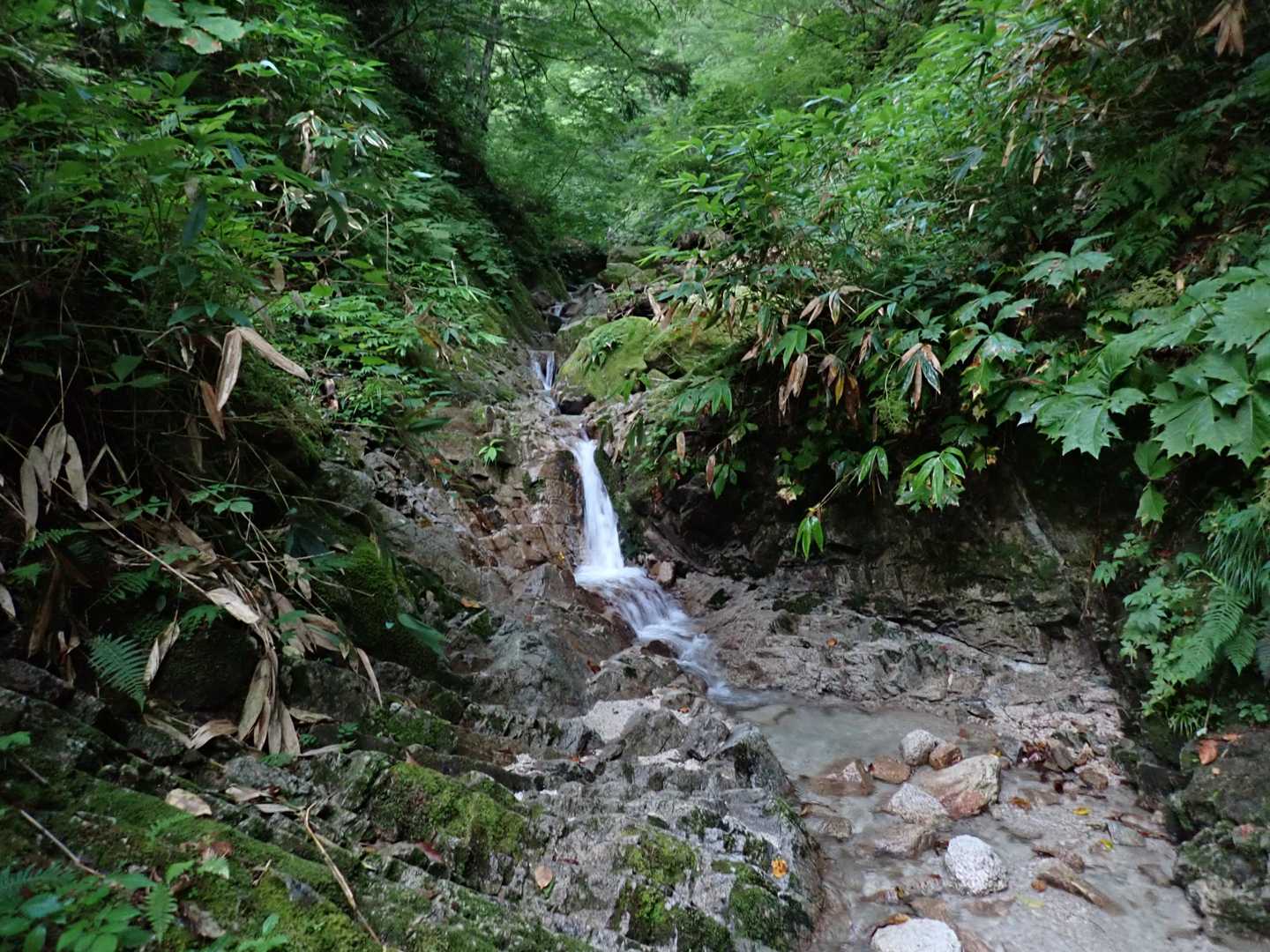大き目の沢。