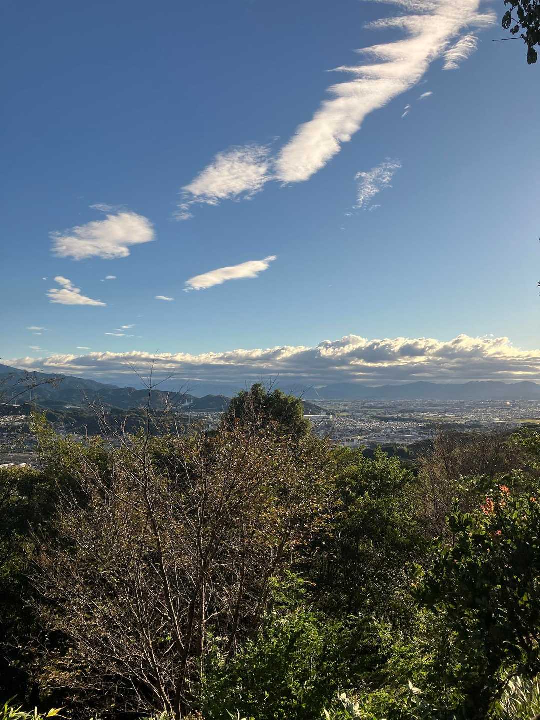 東三河ふるさと公園メインゲート-遠見山-東三河ふるさと公園 周回コースの写真