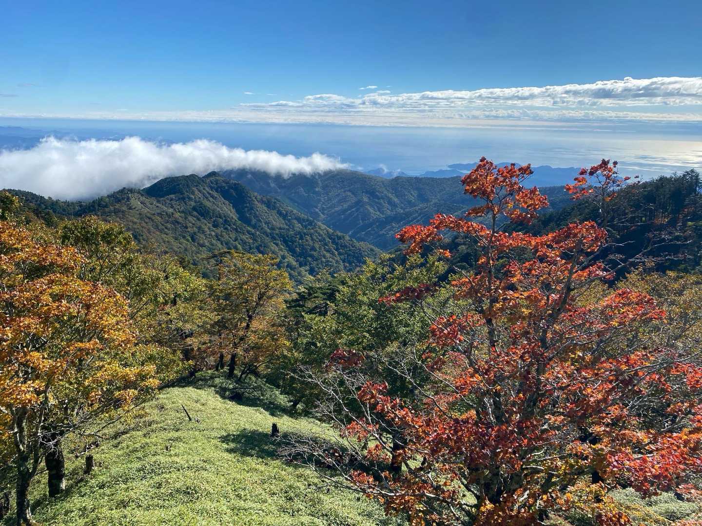 分岐の展望台より
海に向かって雲☁️が流れていきます