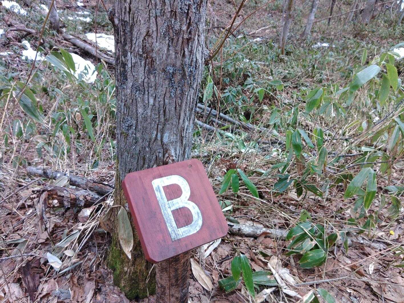カタクリ広場登山口-突哨山-村上山公園口-村上山-扇の沢口 周回コースの写真