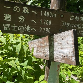 古剣神社に向かいます
