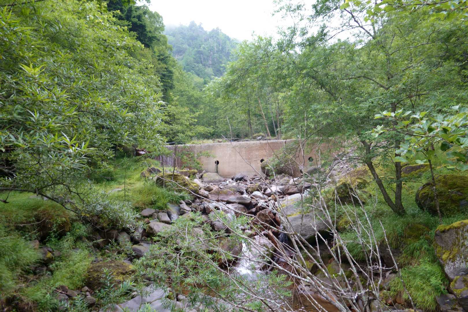 美濃戸登山口-堰堤広場-美濃戸口登山口 縦走コースの写真