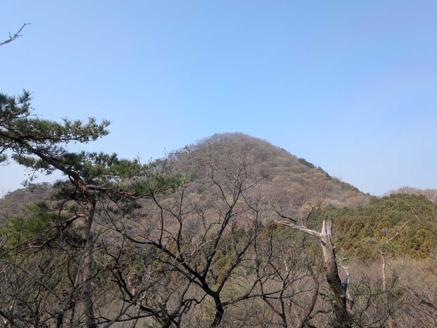 振り返りの姥穴山　尖ってます。