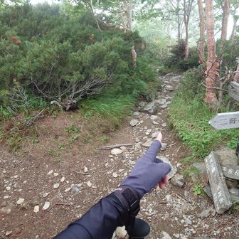 分岐、千枚は右