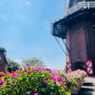 🌺