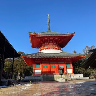 
雪がカチカチに凍結してました。